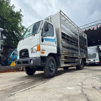 Xe Hyundai W11SL Thùng Chở Heo 6T